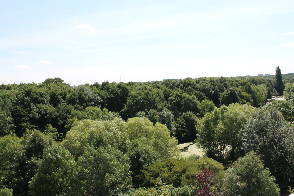 Am Kirchteich 5 - Photo 4